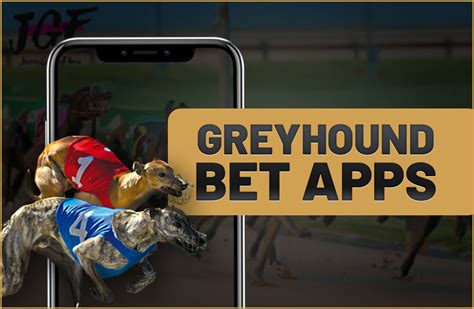 greyhound bet android app - greyhound app for Android